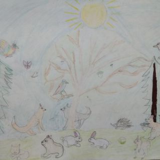 «Чудесный мир животных»