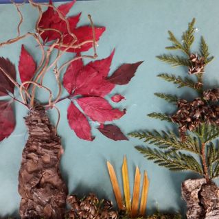 Красавица осень"