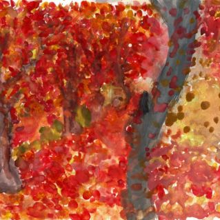 Волшебные краски осени