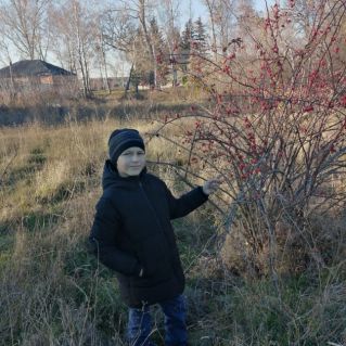 " Красота родного края"