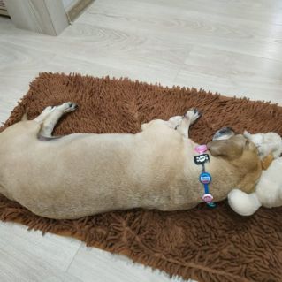 Скрепыши в деле. Ожерелье для Веты