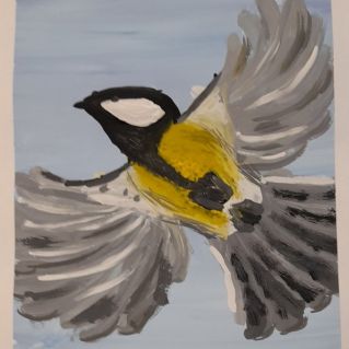 Полет синицы