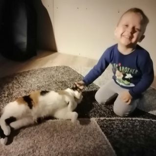 "Кошачье счастье"