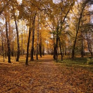 "Осеннее утро в парке"