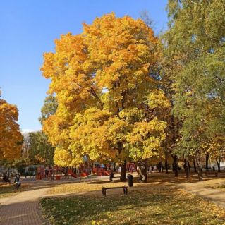 "Краски осени"