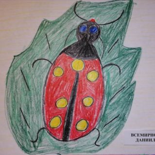 "Божья коровка отдыхает"