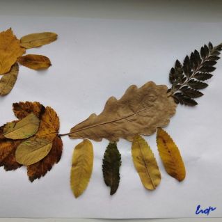 "Дикие животные леса" (аппликация)