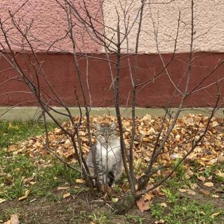 Теперь и не спрятаться