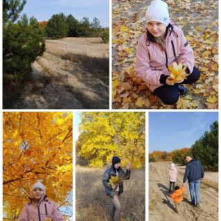 В осеннем лесв