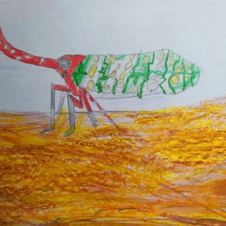 Азиатская Фонарница