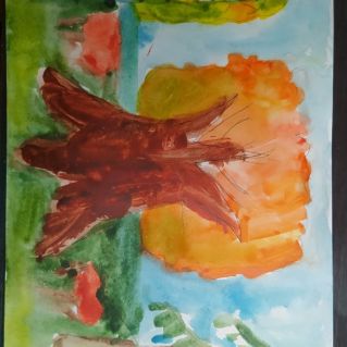 Осенняя красота в лесу