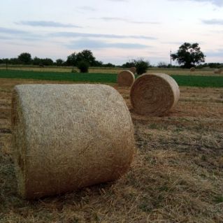 Осень в моем селе