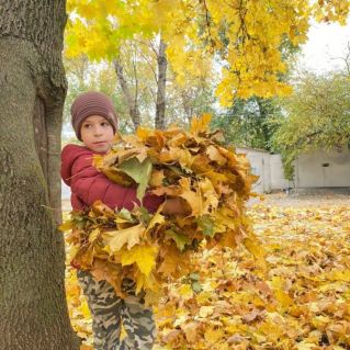Осенний листопад