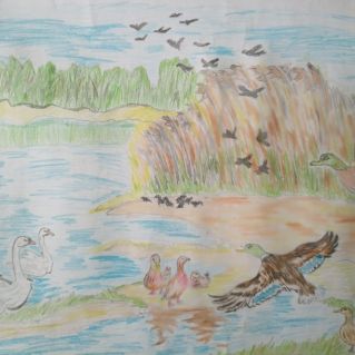 Сердцу милый уголок-дельта Волги.