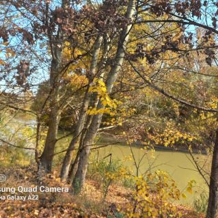 Сердцу милый уголок