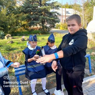 Светоотражающие элементы предотвратят беду