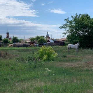Велик белый свет, да теплее своего края нет
