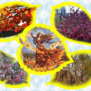 ,,Осень"коллаж