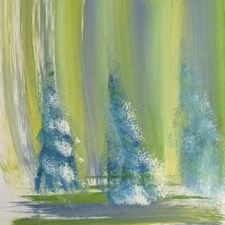 Северное сияние Югры