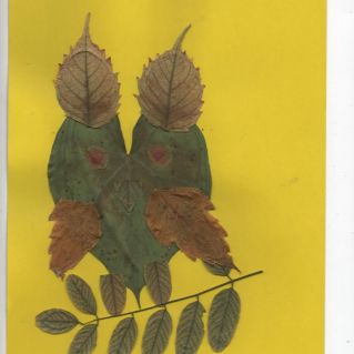 Аппликация "Совушка"