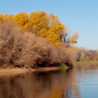 "Осень красуется"