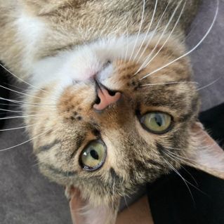 Все кругом - верх дном.