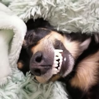 Улыбка Джали.