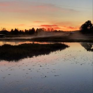 Летнее утро