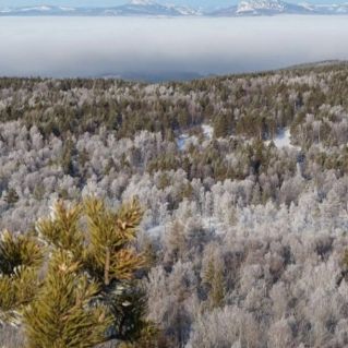 "Туманное озеро"