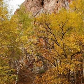 "Гора Шунут"