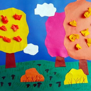 Грибная поляна