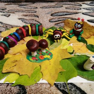 На лесной полянке