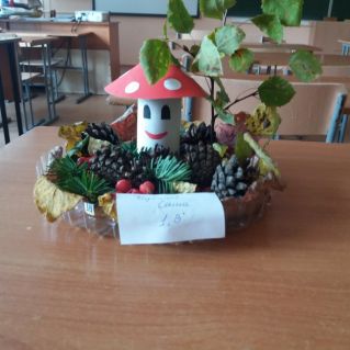 Мухомор в  лесу