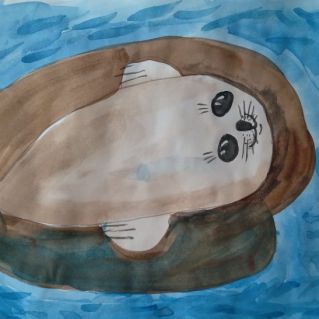 "Белёк" - малыш байкальской нерпы"