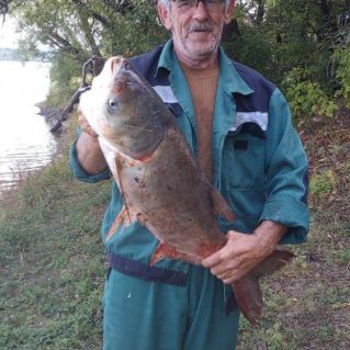 "Без  ужина не останемся"