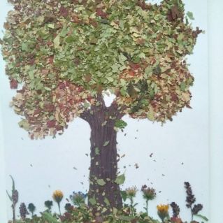 Осенний денёк.