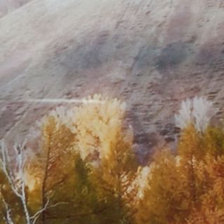 "Краски осени"