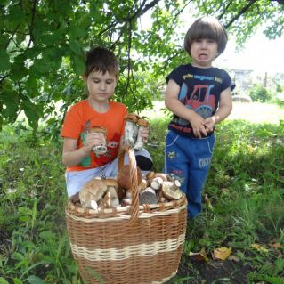 Кто на рыбалку, а мы по грибы!