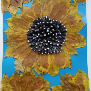 Солнечные цветы