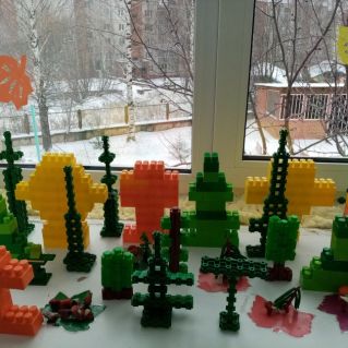 В грибном лесу