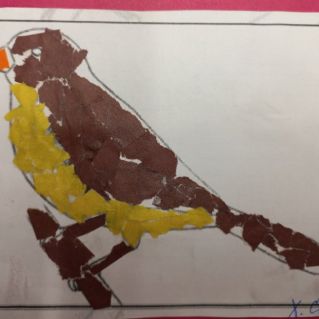 Желтогрудка