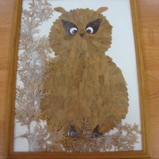 Загадочная совушка