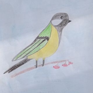 Синичка-невеличка