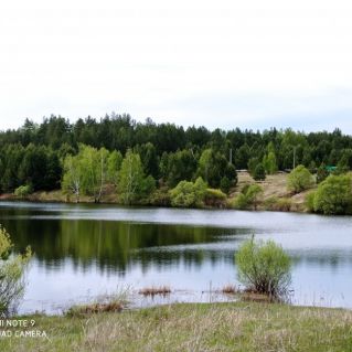 Любимый пруд