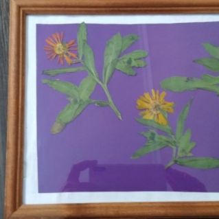 Декоративно-прикладное искусство. "Последние отблески уходящей осени"