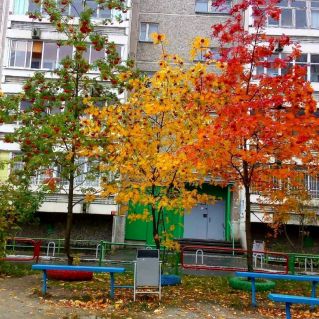 Осенний светофор