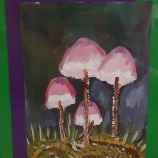 "Розовые поганочки"