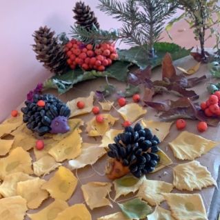 Лесная полянка