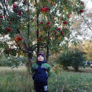 Яркие краски осени