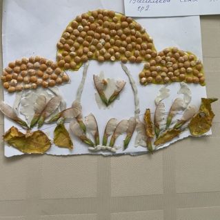 Грибы и грибочки